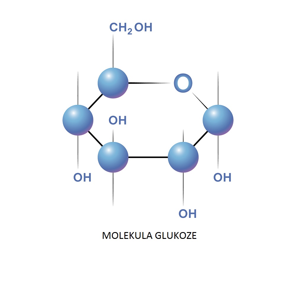 molekula glukoze